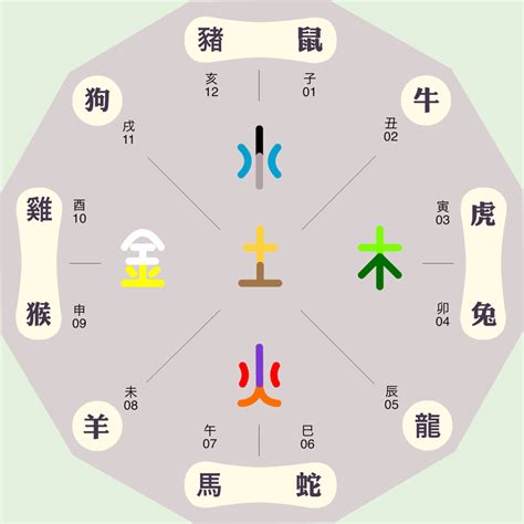 五行与颜色|十二地支与色彩的五行属性